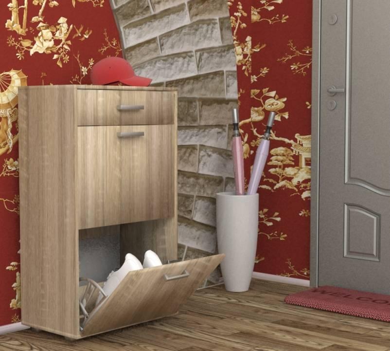 Фото Обувница ОБ-2 от производителя Пирамида в Анапе по цене 5 060 ₽