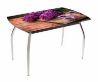 Фото stoly-obedennye-neraskladnye стол обеденный 5.1 mini  производитель Мебель из стекла