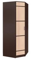 Шкаф Сакура (88) угловой (венге, лоредо-венге,(БТС)) в Анапе от производителя 