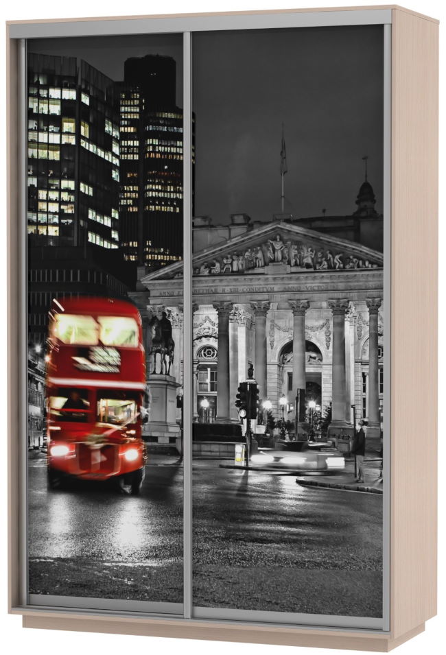 Фото Шкаф-купе Экспресс Хит Фото (2 двери) от производителя Мебельная компания Е1 в Анапе по цене 22 920 ₽