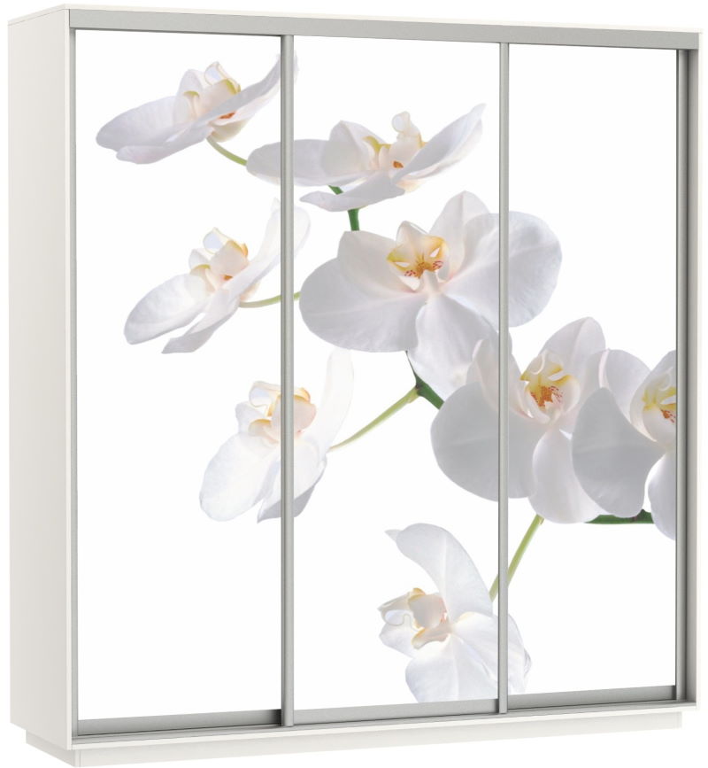 Фото Шкаф-купе Экспресс Трио Фото (2,4х0,6х2,4 - 3 двери) от производителя Мебельная компания Е1 в Анапе по цене 63&nbsp;870 ₽