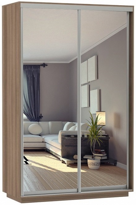 Фото Шкаф-купе Экспресс Дуо Экспенс (1,6х0,6х2,2 - 2 двери) от производителя Мебельная компания Е1 в Анапе по цене 34 170 ₽